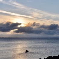 DSC_0923